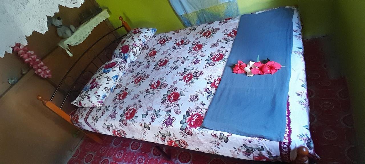 Yasawa Homestays Naisisili Ngoại thất bức ảnh